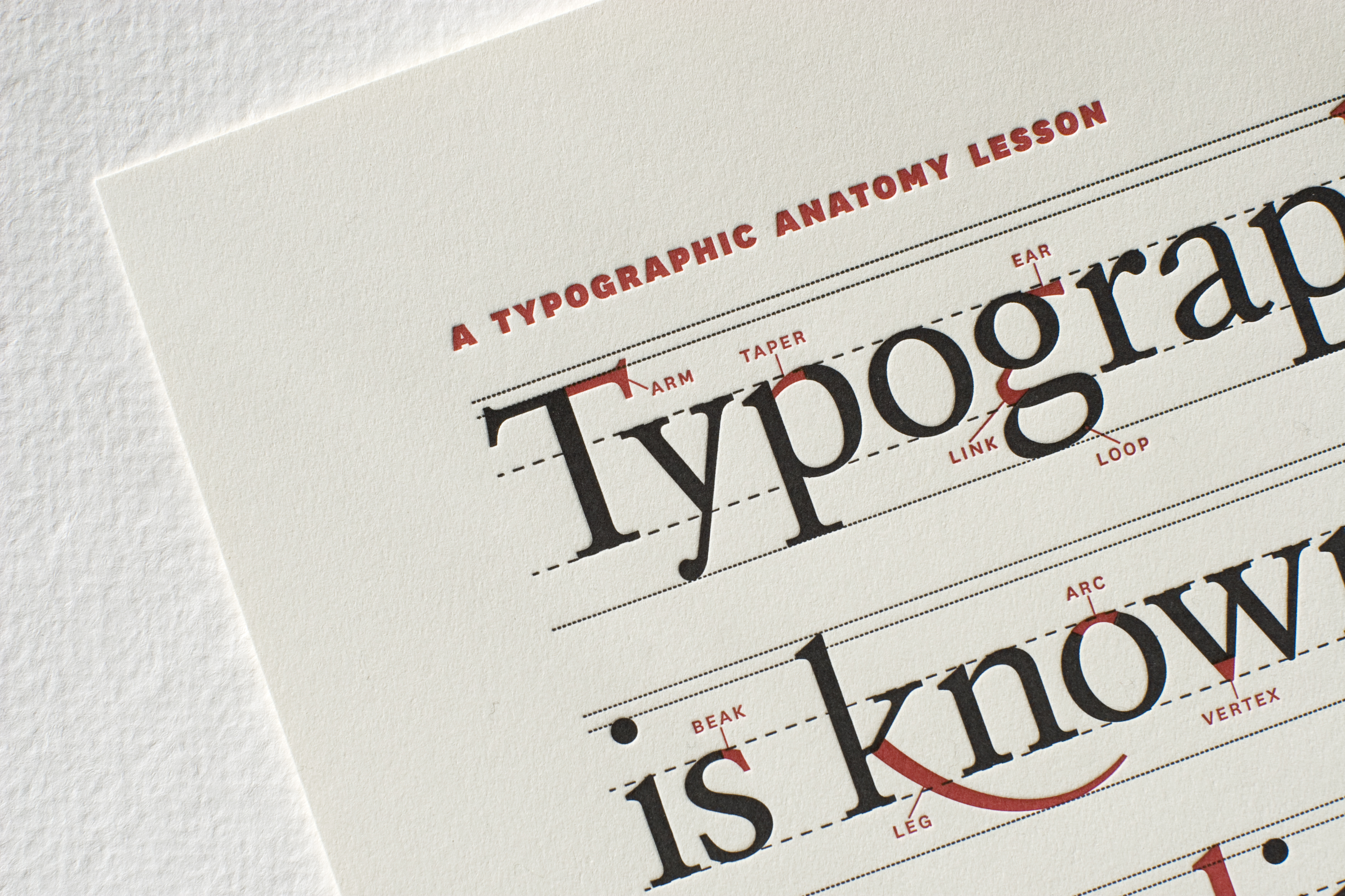 Type Anatomy - The Parts Of Letters (+FREE Poster)